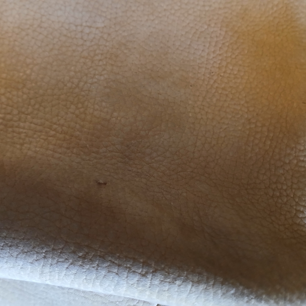 Coach Sueded Pebble Leather Bag - Picture 5 of 8